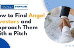 Best Strategies to Attract Angel Investors and Approach Them With a Pitch